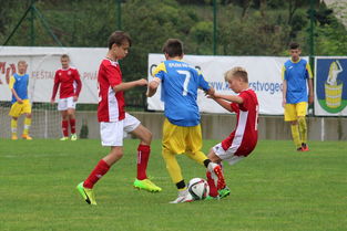 爱游戏体育app-基层足球能否成为未来的希望,足球基层教练现状